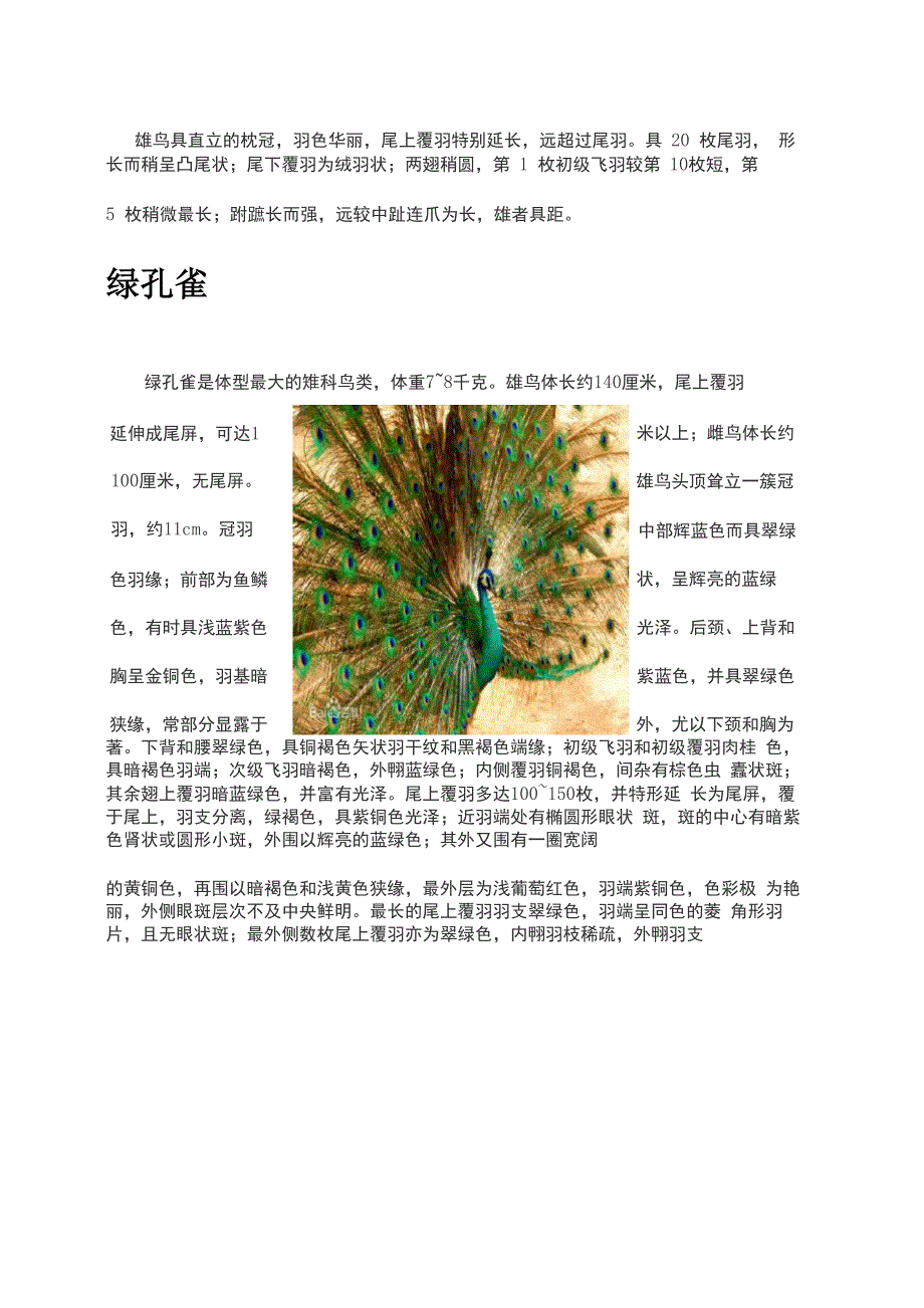 介绍孔雀知识讲解_第4页