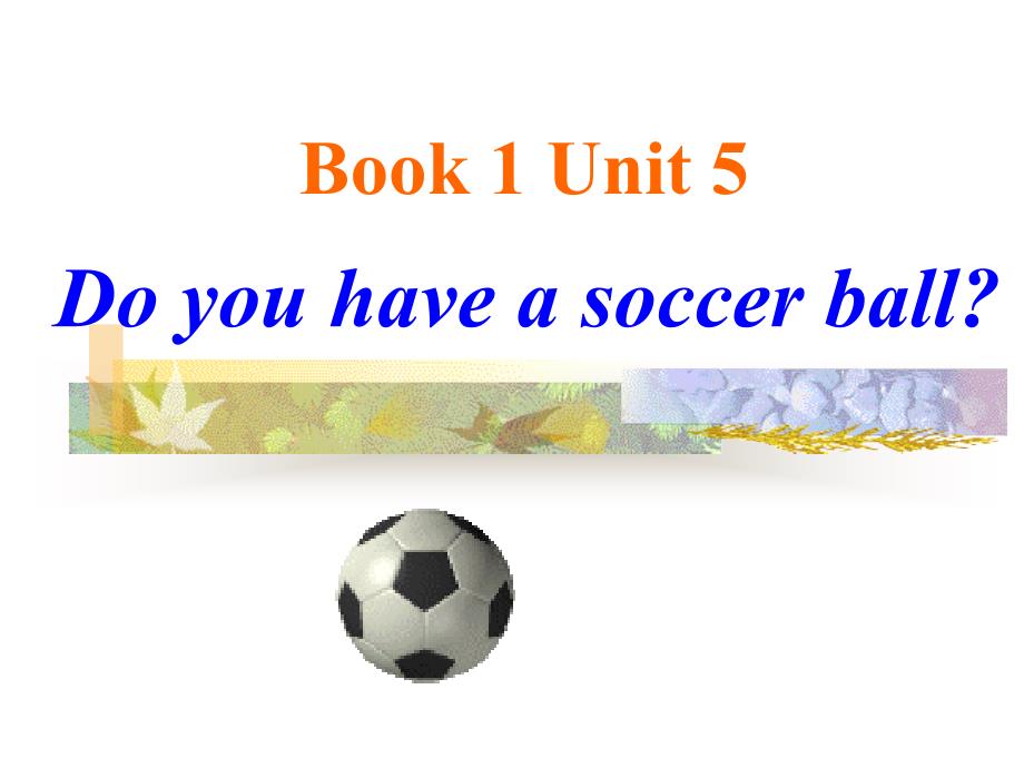 Book1Unit5Doyouhaveasoccerball_第1页