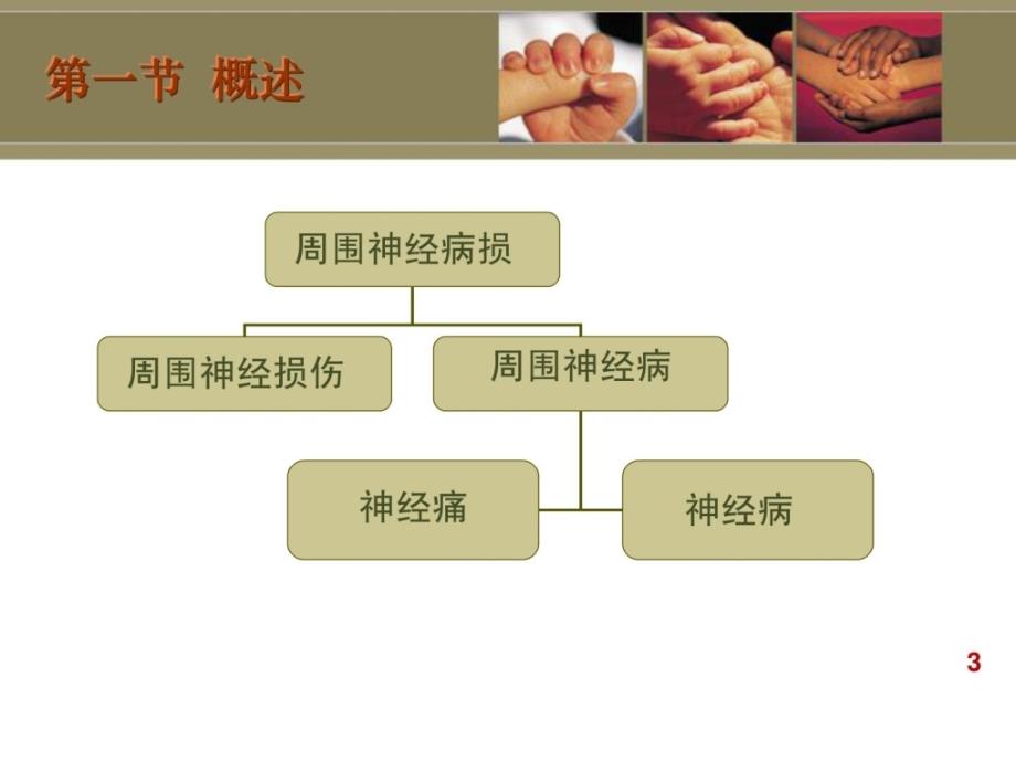 周围神经损伤患者康复课件_第3页