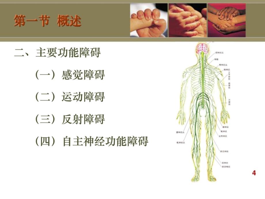 周围神经损伤患者康复课件_第4页