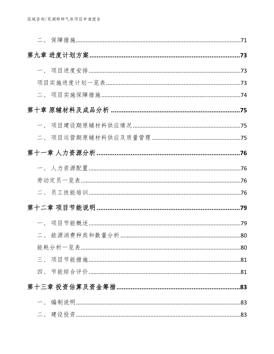 芜湖特种气体项目申请报告（范文参考）_第4页