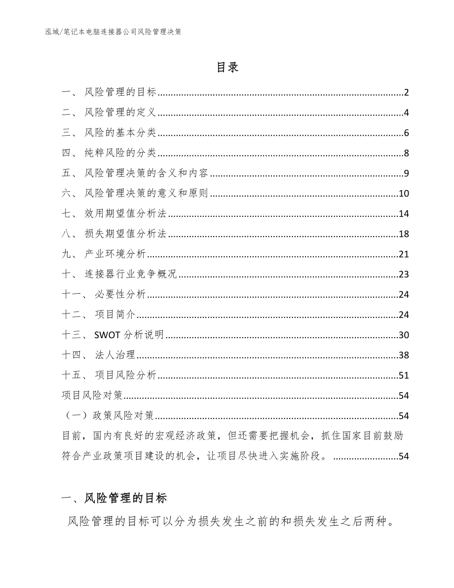 笔记本电脑连接器公司风险管理决策（范文）_第2页