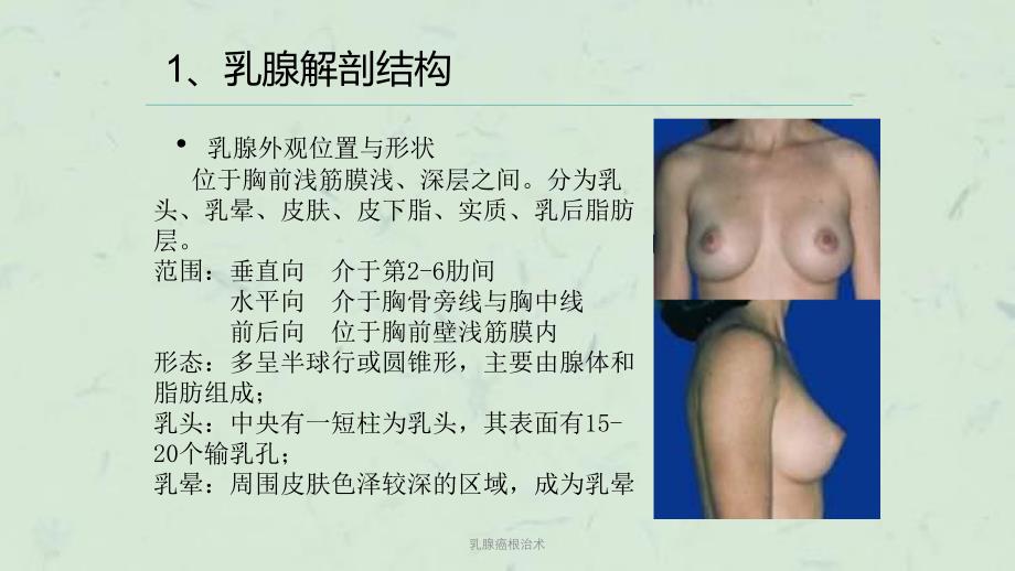 乳腺癌根治术课件_第4页