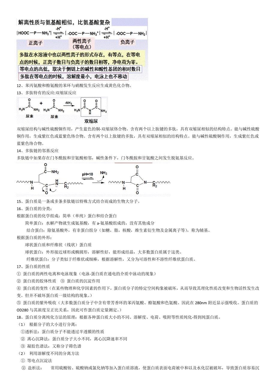 生物化学考试复习资料.doc_第5页