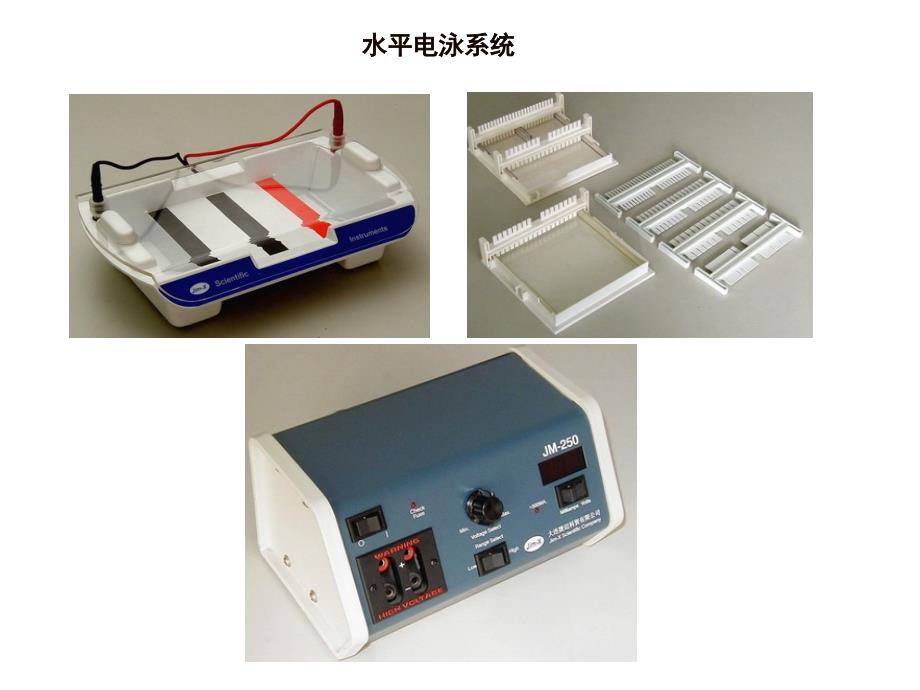 酶谱法检测血清中基质金属蛋白酶MMP2和MMP9活性课件_第4页