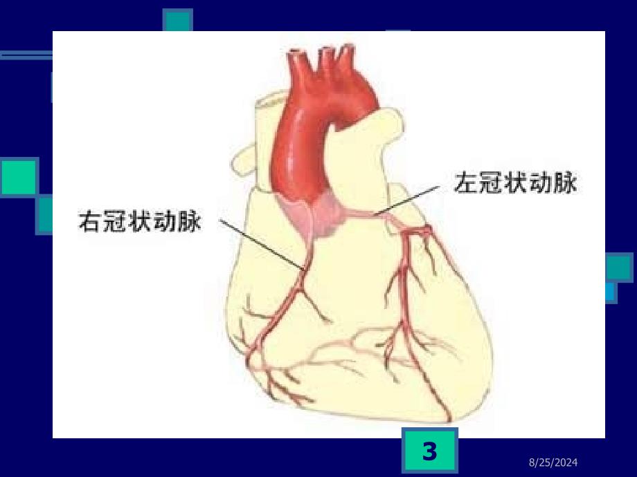 心血管系统药PPT课件_第3页