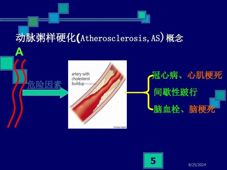 心血管系统药PPT课件_第5页