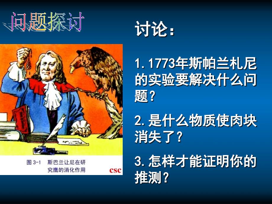 51降低化学反应活化能的酶课件_第2页