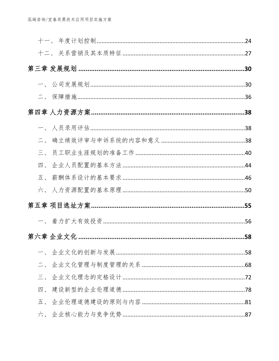 宜春炭黑技术应用项目实施方案（模板）_第2页