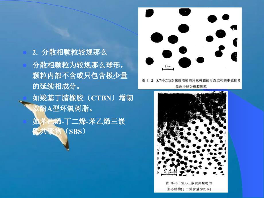 聚合物共混物的形态结构2ppt课件_第3页