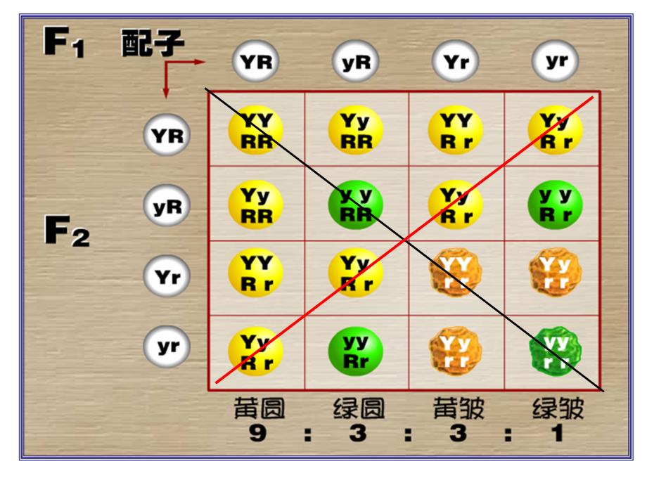 1.2孟德尔的豌豆杂交实验课件6_第4页