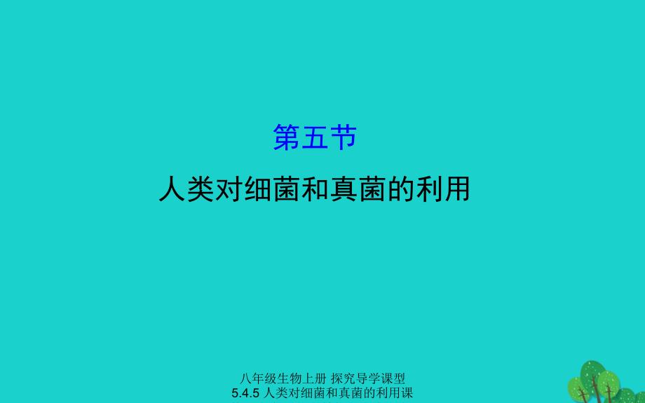 最新八年级生物上册探究导学课型5.4.5人类对细菌和真菌的利用课件新版新人教版新版新人教级上册生物课件_第1页