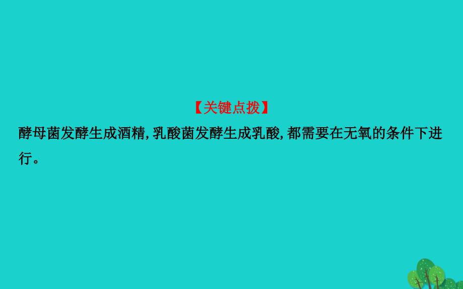 最新八年级生物上册探究导学课型5.4.5人类对细菌和真菌的利用课件新版新人教版新版新人教级上册生物课件_第4页