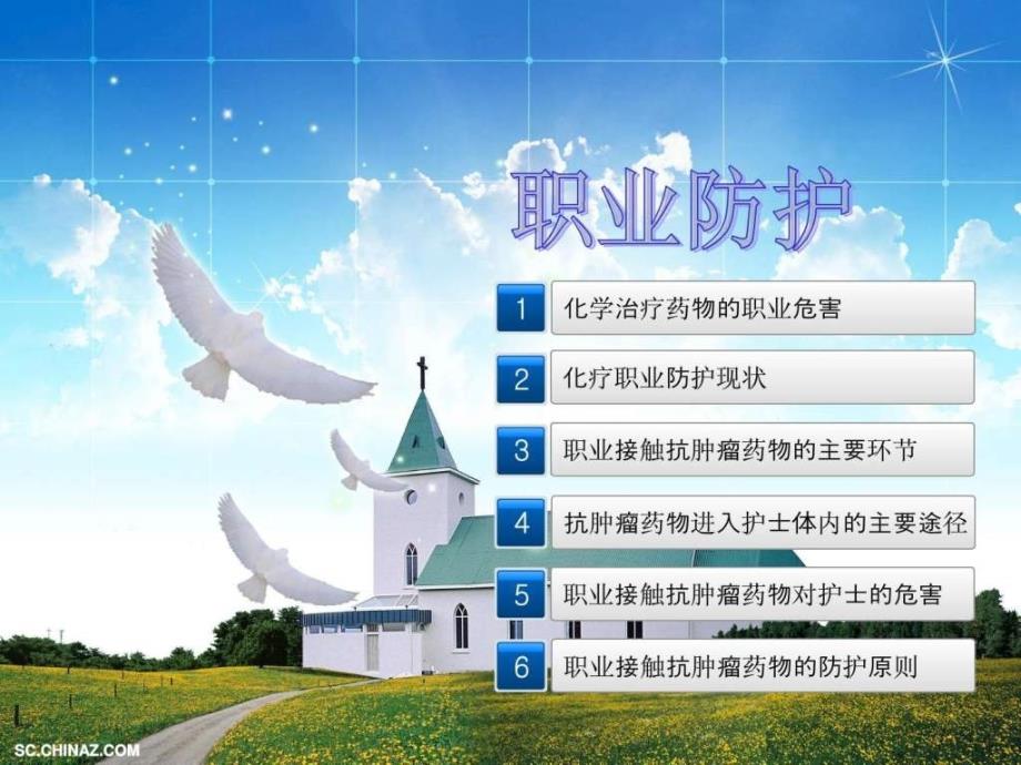 肿瘤科护士的职业防护图文.ppt_第2页