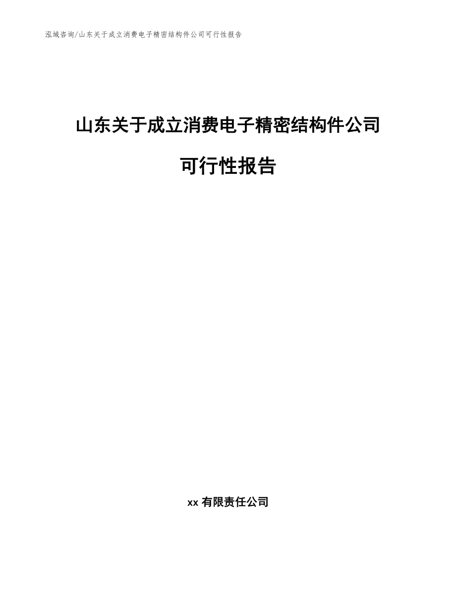 山东关于成立消费电子精密结构件公司可行性报告_范文模板_第1页