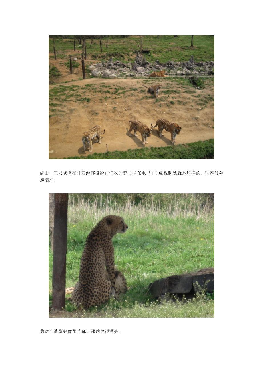 杭州野生动物园游记攻略_第2页