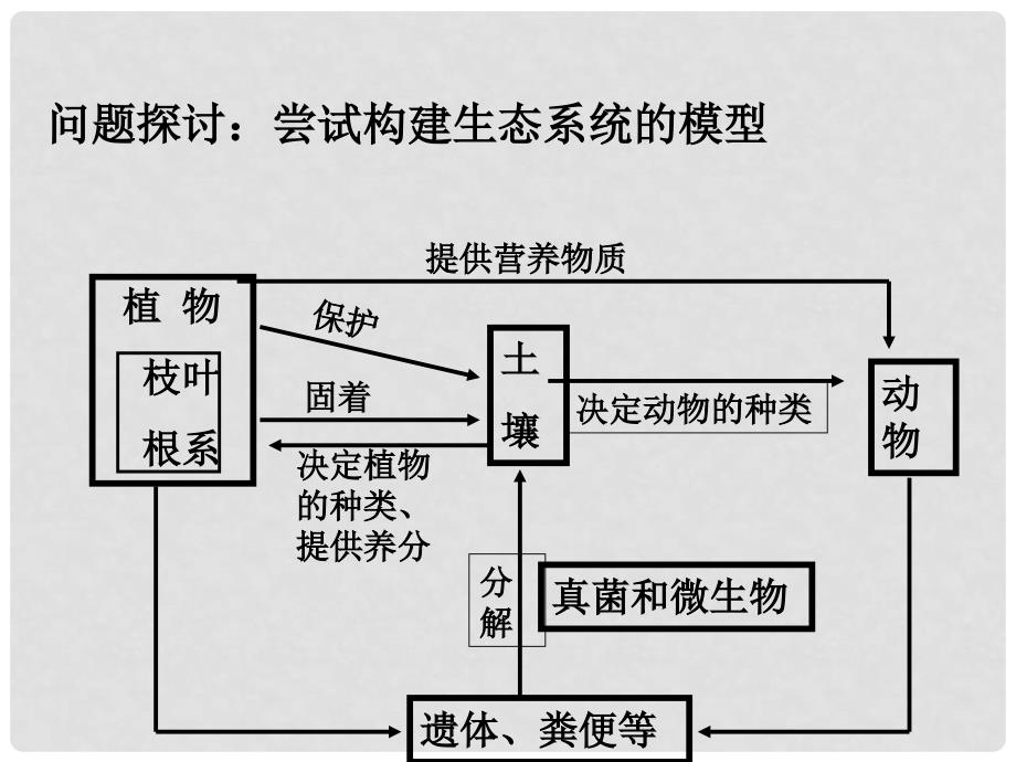 云南省峨山彝族自治县高中生物 第五章 生态系统及其稳定性 5.1 生态系统的结构课件2 新人教版必修3_第4页