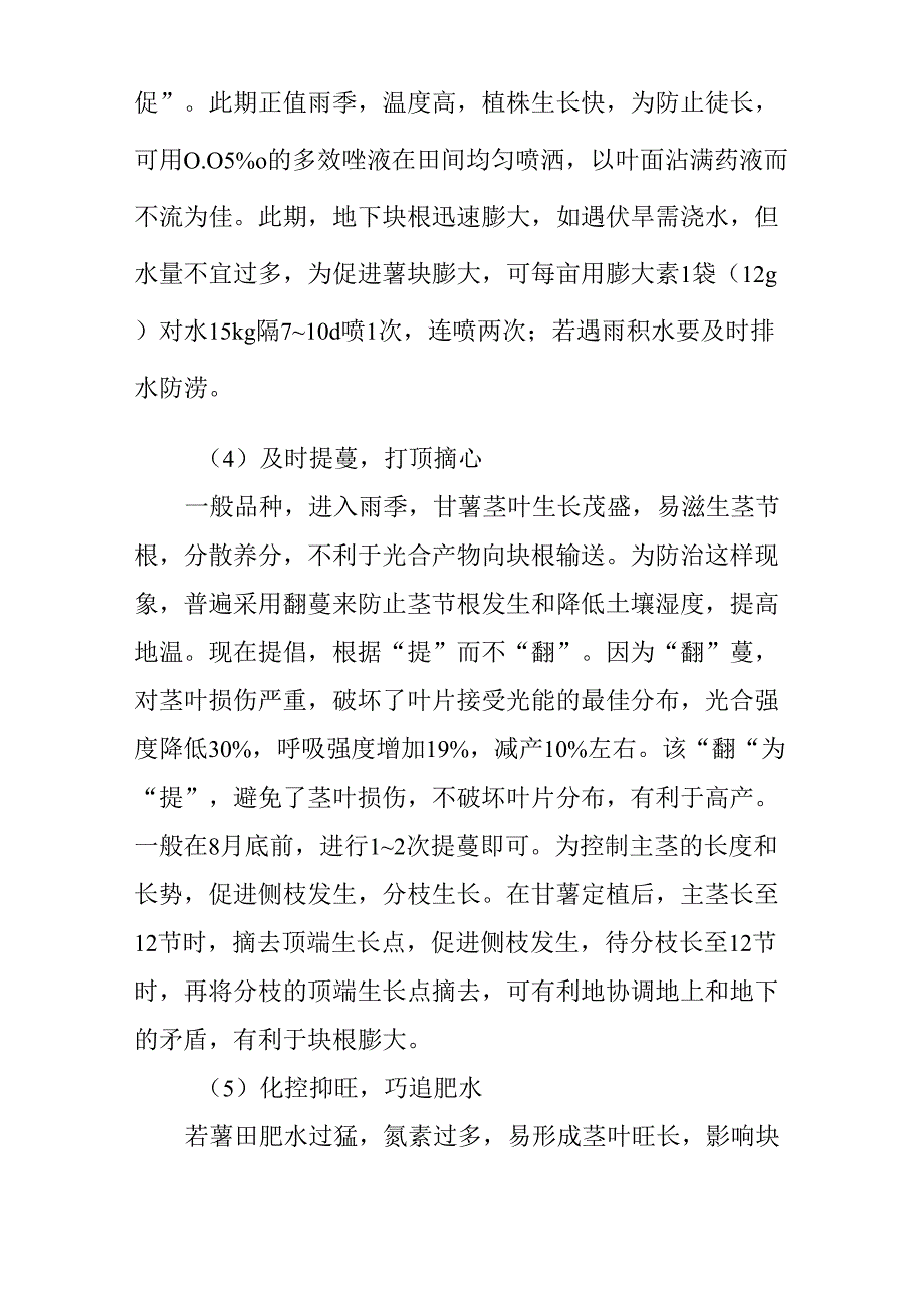 夏栽红薯高产管理措施_第3页