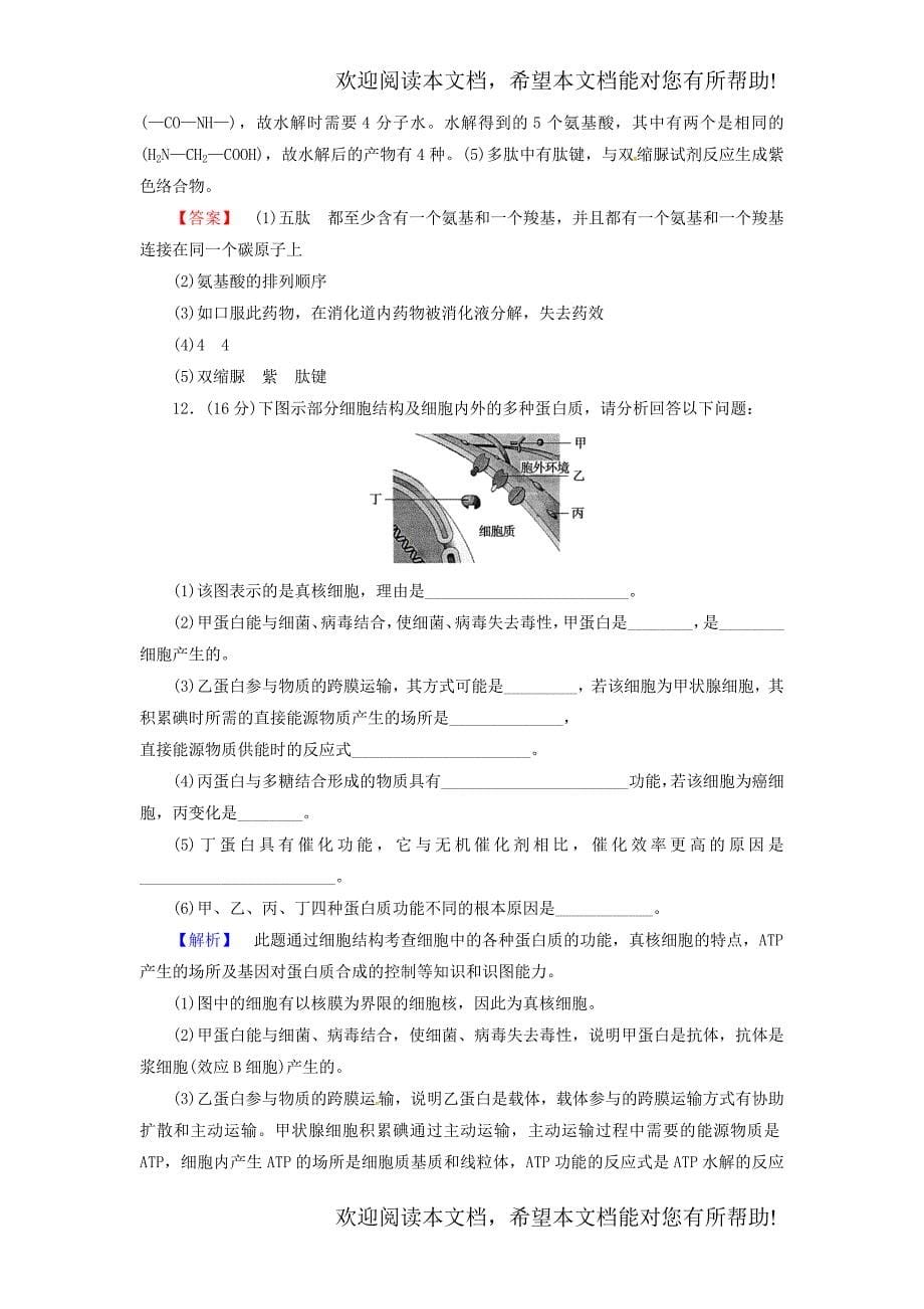 2016届高考生物总复习生命活动的主要承担者_蛋白质试题含解析_第5页