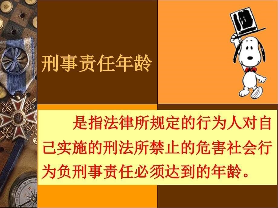 82法律雷池不可越_第5页