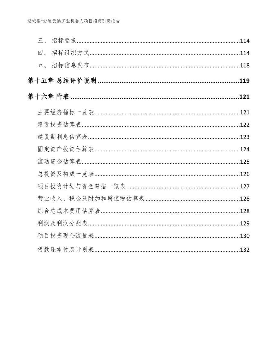 连云港工业机器人项目招商引资报告（范文模板）_第5页