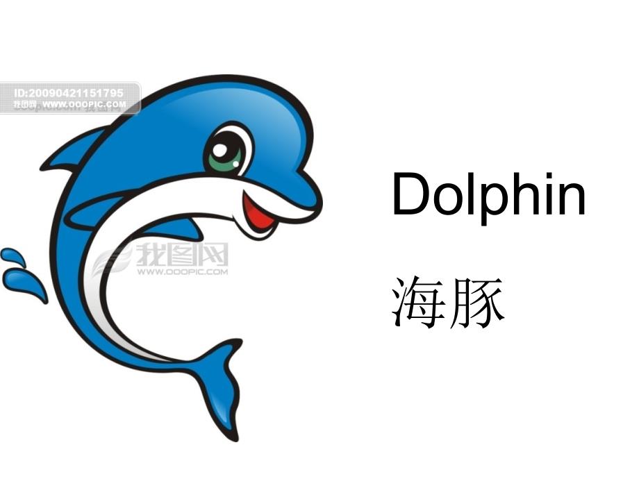 幼儿小学英语-海洋动物Seaanimals_第3页