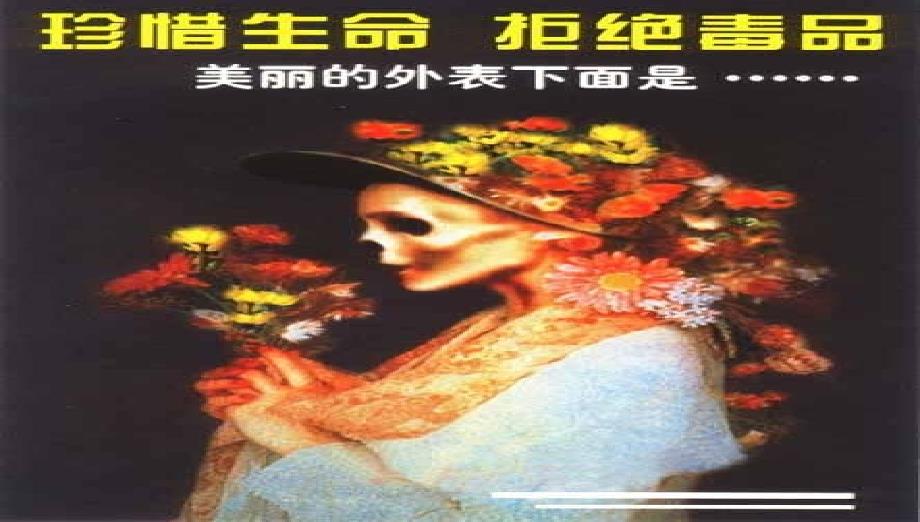 班会毒品预防教育主题班会-课件课件_第2页