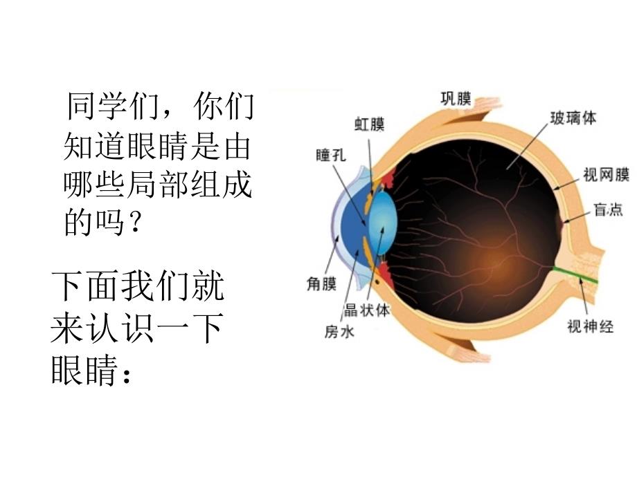 小学生健康用眼教育_第3页