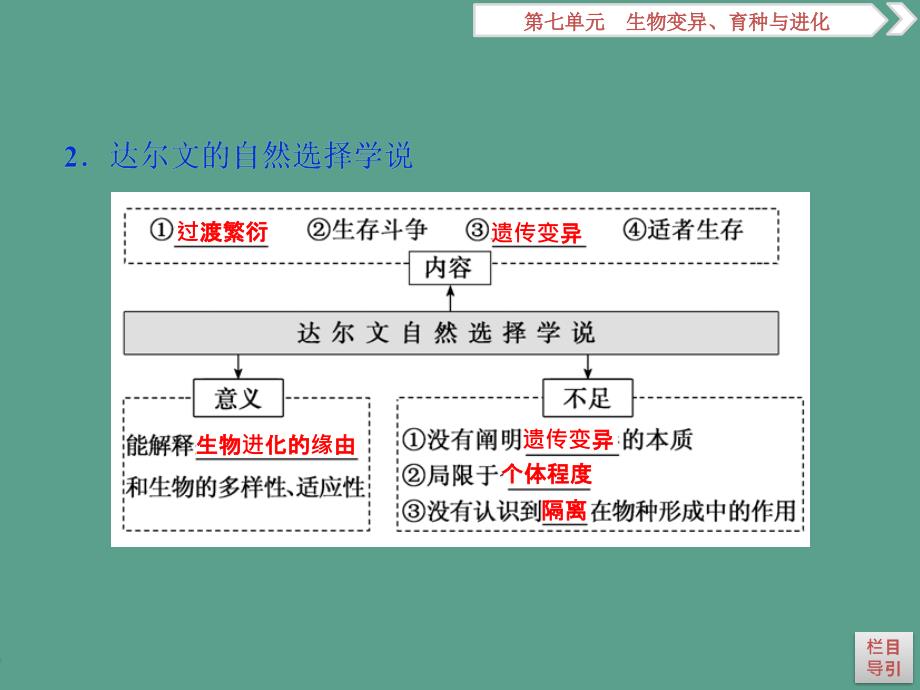 5第24讲现代生物进化理论ppt课件_第4页