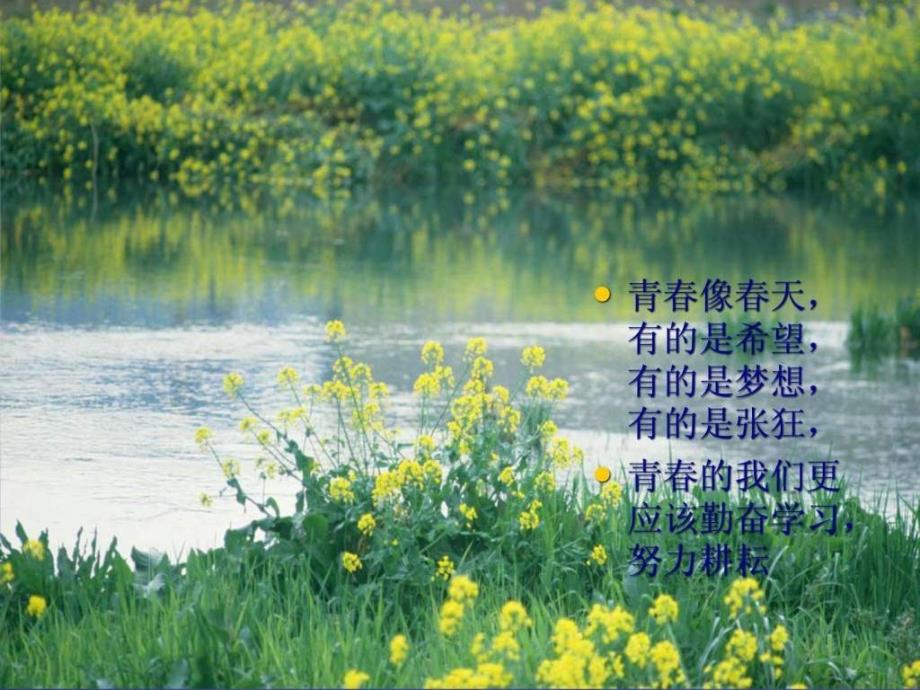 青主题幻灯片图文.ppt_第3页