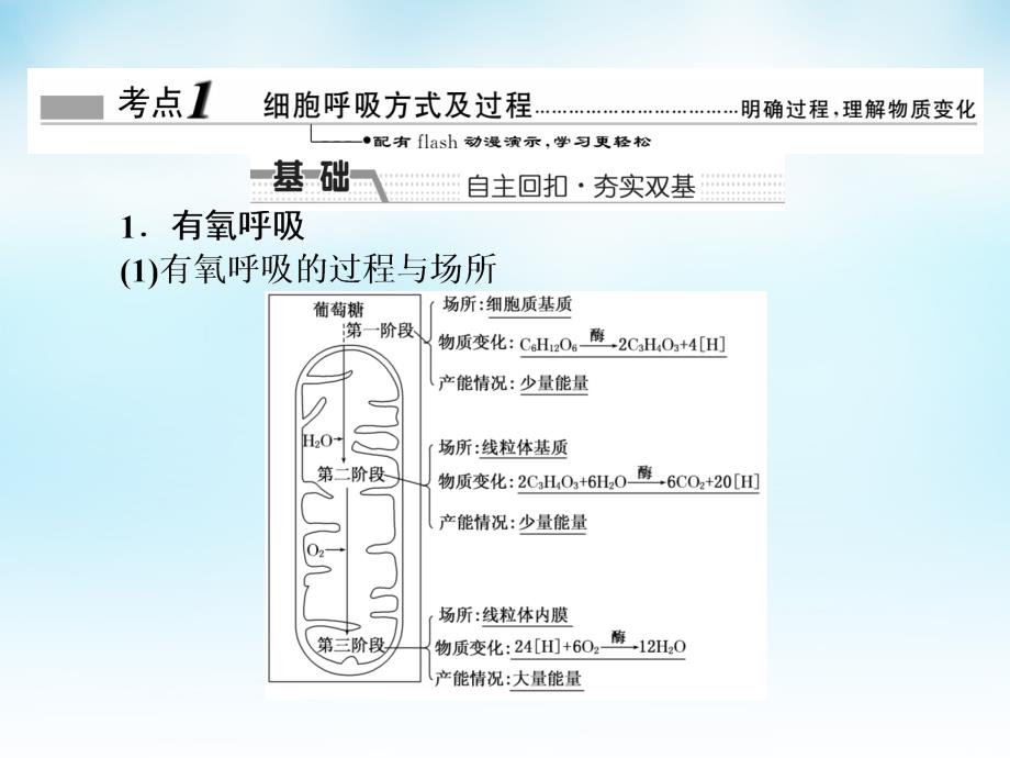 高三生物一轮复习 第三单元 第2讲 细胞呼吸课件 新人教版必修_第2页