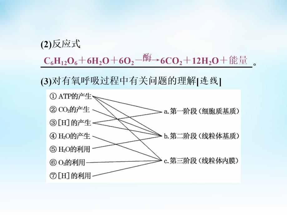 高三生物一轮复习 第三单元 第2讲 细胞呼吸课件 新人教版必修_第3页