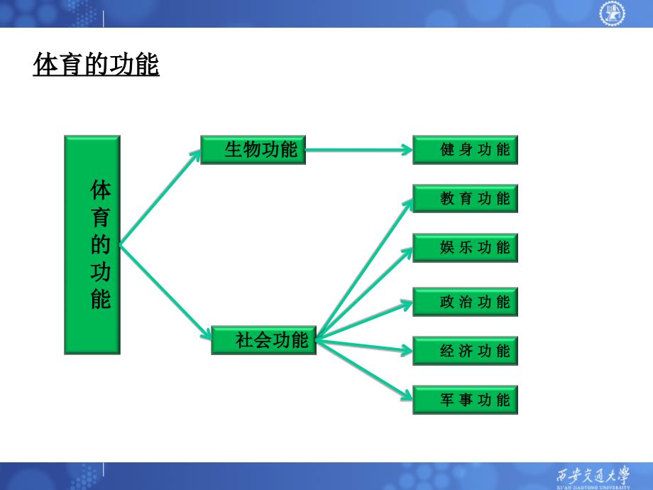 体育基础理论课(一)新_第3页