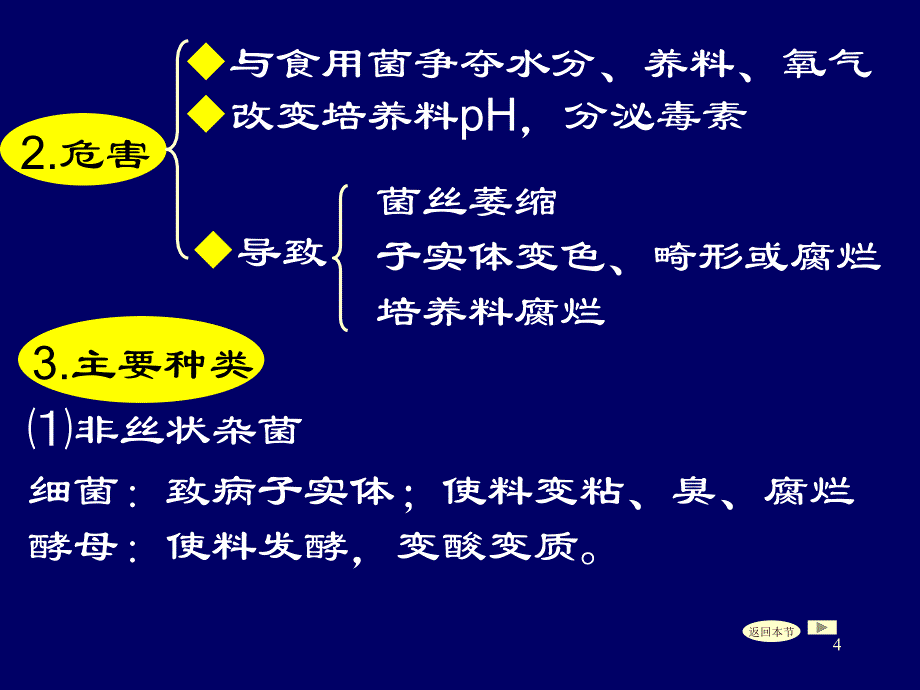 蔬菜病虫害防治_第4页