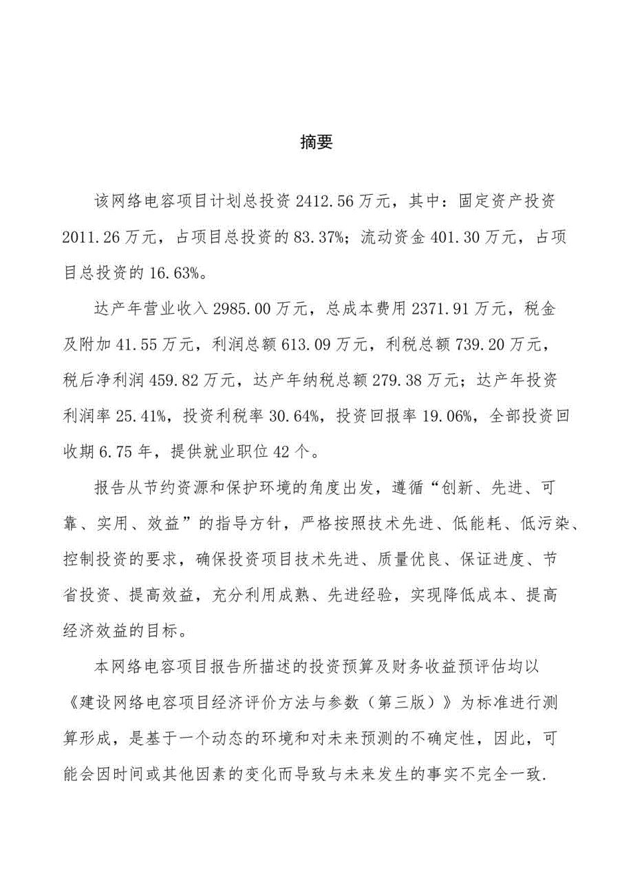 网络电容投资项目可行性研究报告重点难点分析_第2页