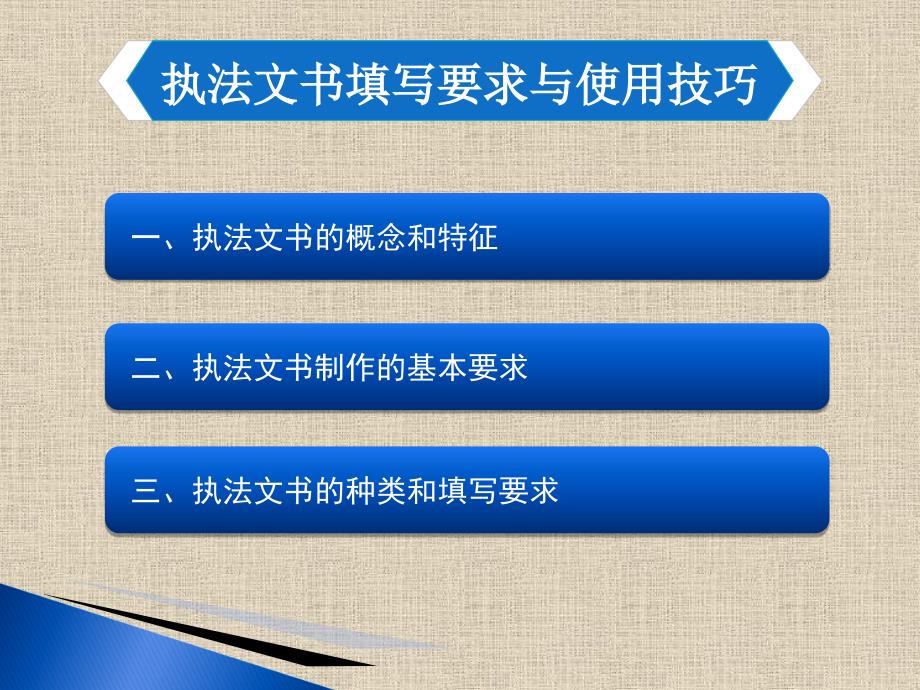 安全生产执法文书填写要求与技巧页PPT课件_第2页