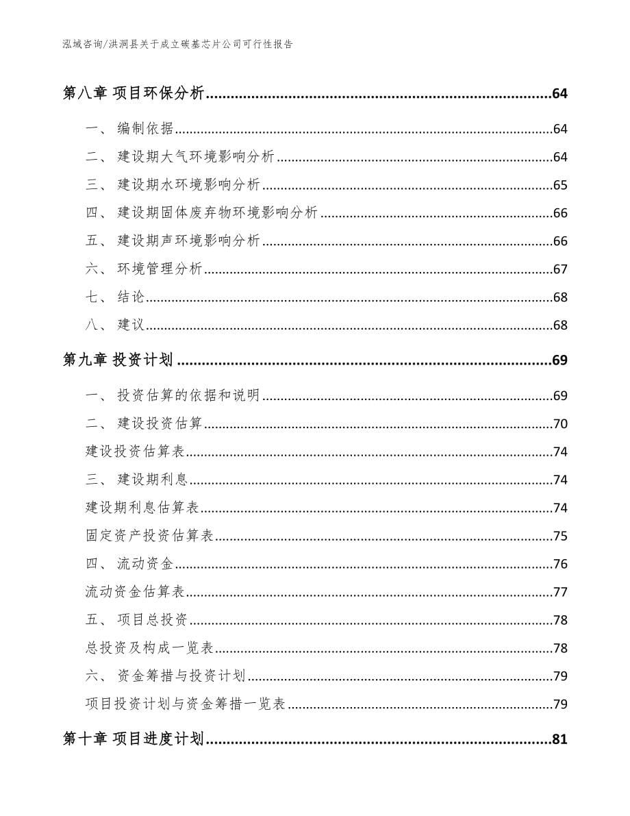 洪洞县关于成立碳基芯片公司可行性报告（参考范文）_第5页