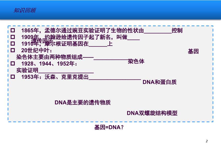 基因是有遗传效应的DNA片段2ppt课件_第2页