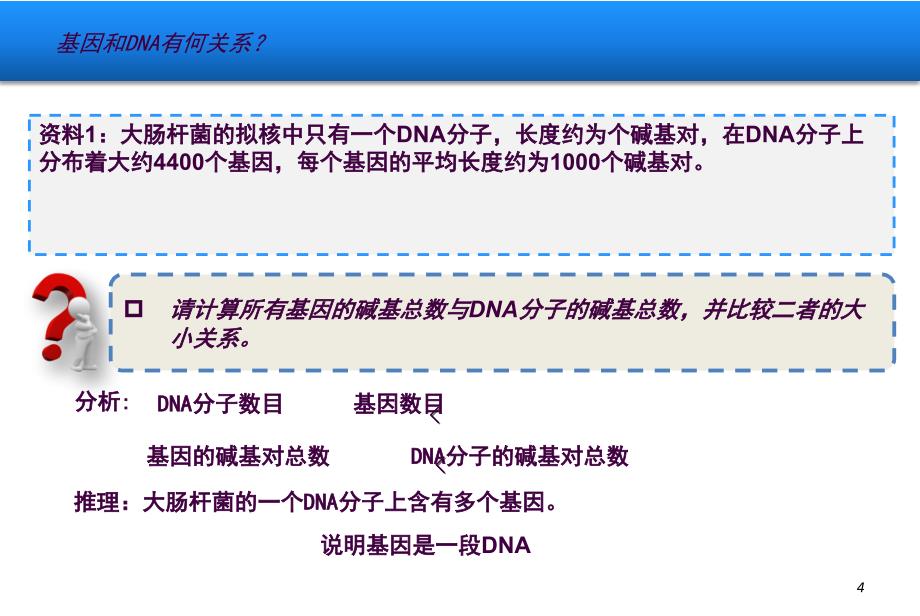 基因是有遗传效应的DNA片段2ppt课件_第4页