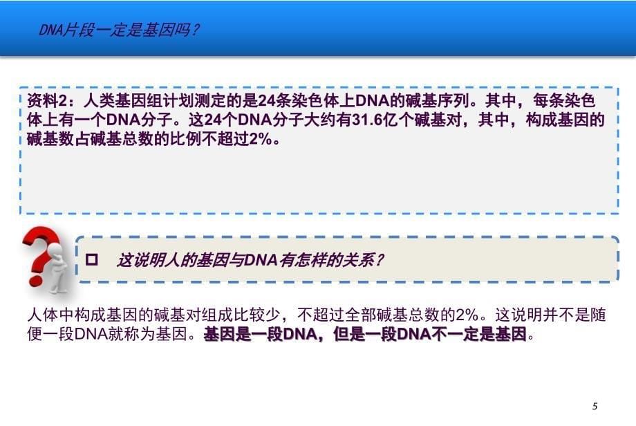 基因是有遗传效应的DNA片段2ppt课件_第5页