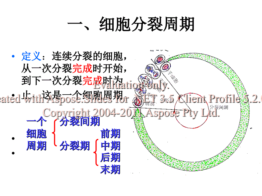 高一历史地理生物高一生物必修有丝分裂_第2页