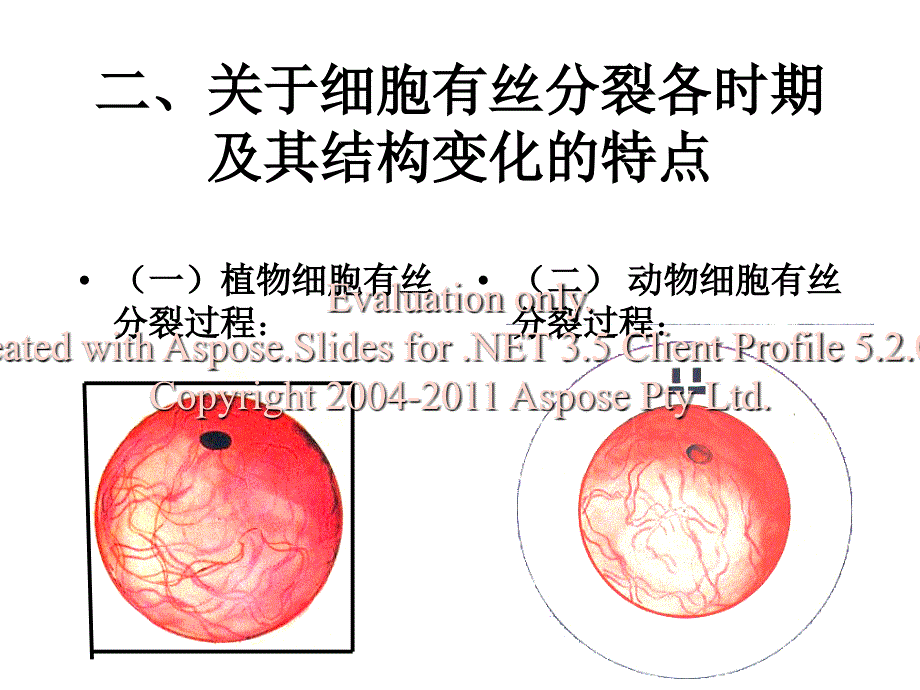 高一历史地理生物高一生物必修有丝分裂_第3页