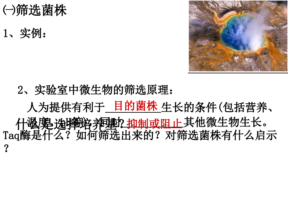 课题土壤中分解尿素的细菌的分离与计数_第4页