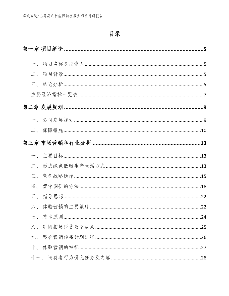 巴马县农村能源转型服务项目可研报告_参考模板_第1页