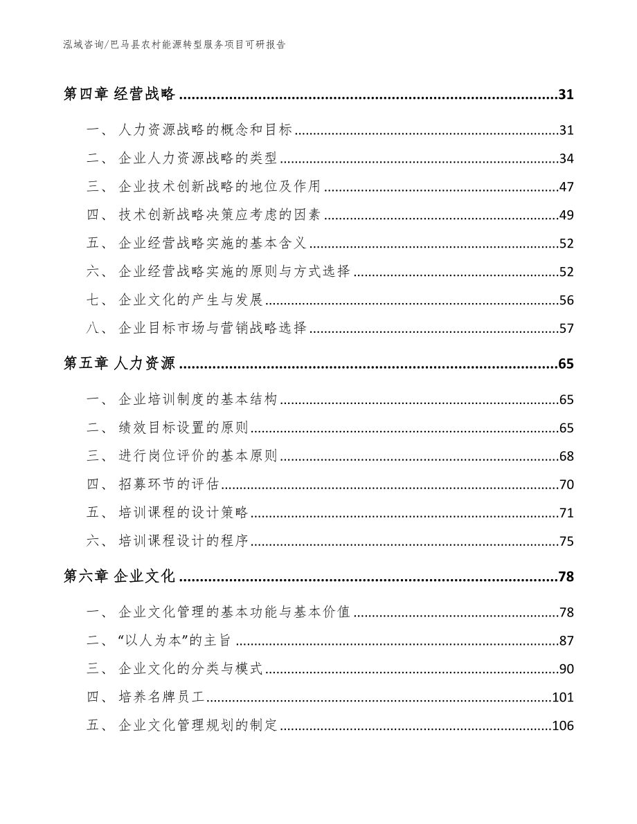 巴马县农村能源转型服务项目可研报告_参考模板_第2页