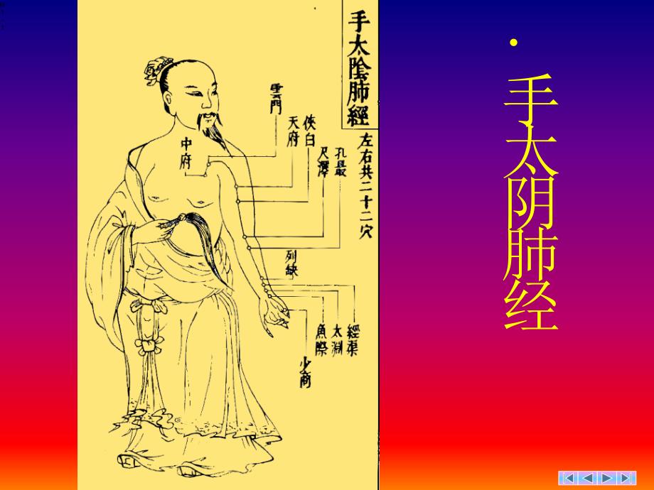 手太阴肺经-带循行动图_第1页