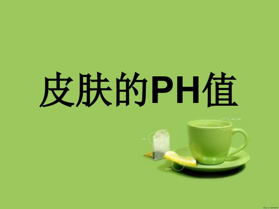 皮肤的PH值.ppt_第1页