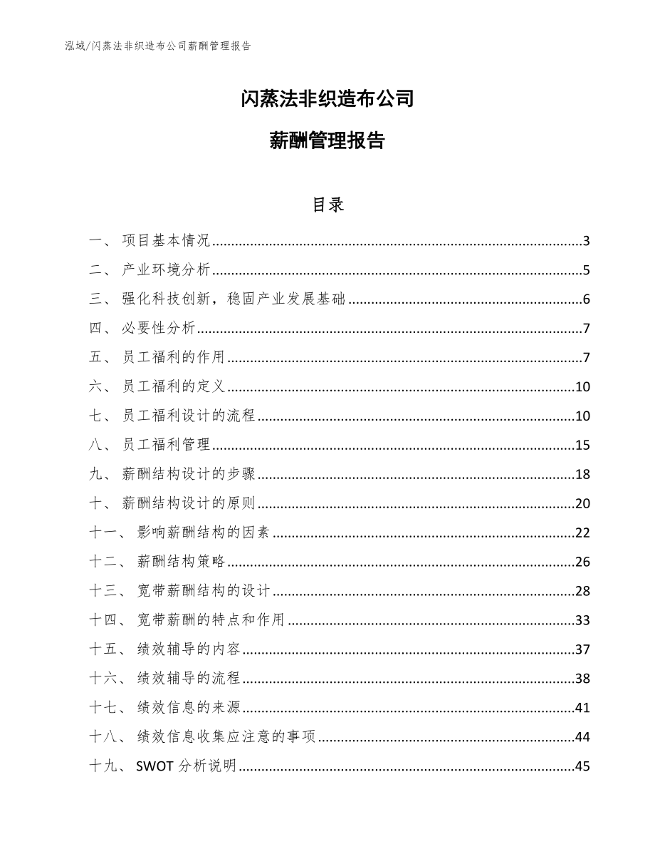 闪蒸法非织造布公司薪酬管理报告【参考】_第1页