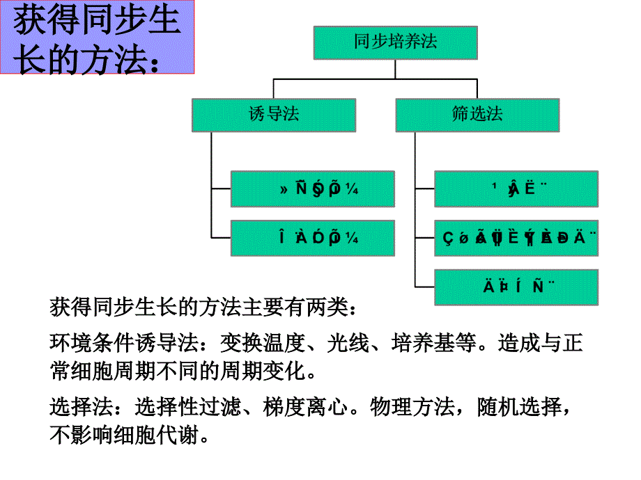 由于微生物细胞极其微小研究其个体生长存在着技术上的困_第2页