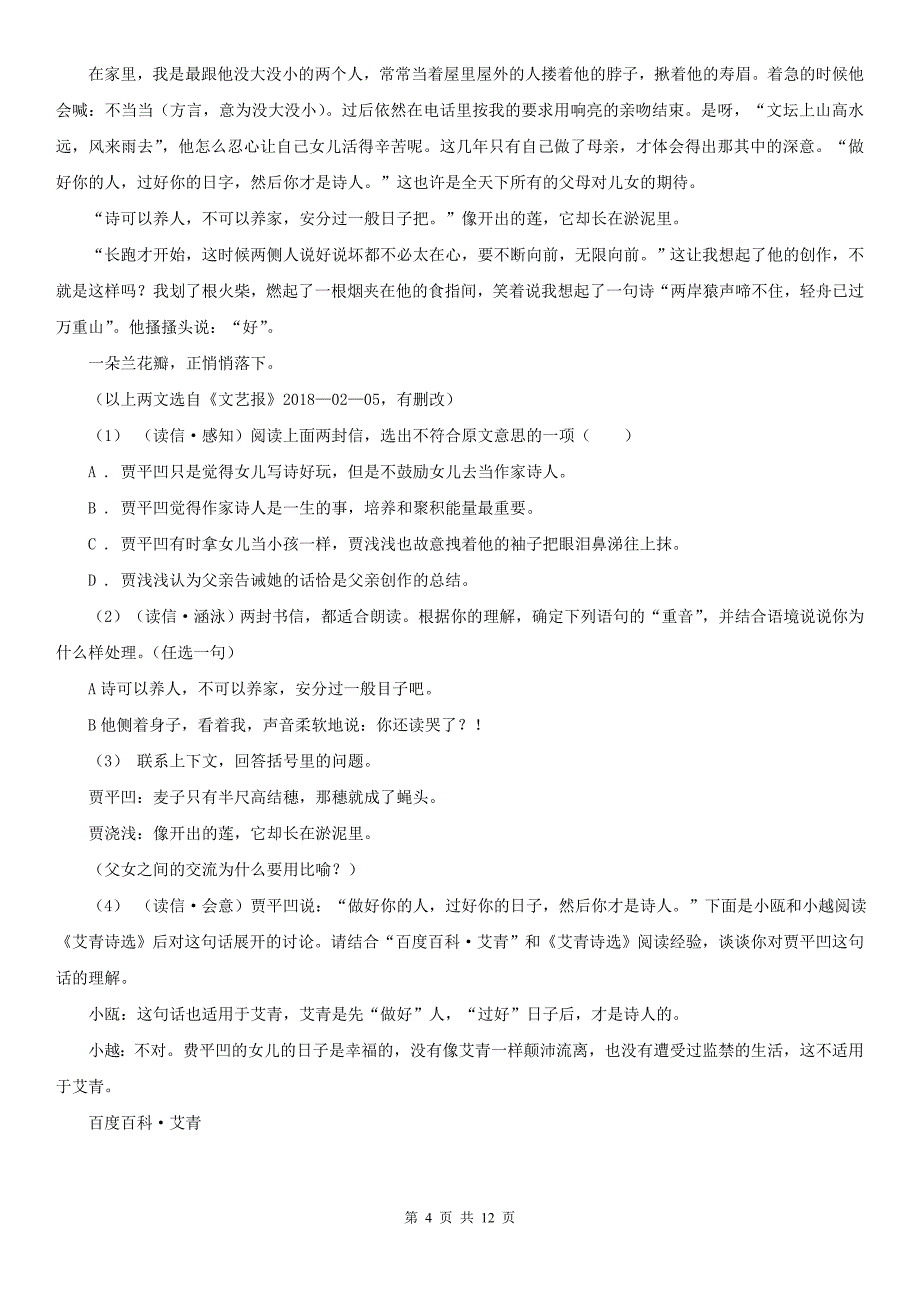 儋州市九年级语文第三次诊断模拟考试试卷_第4页